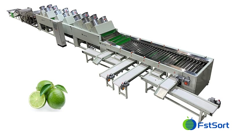 images/1695371431867lime grading machine.jpg